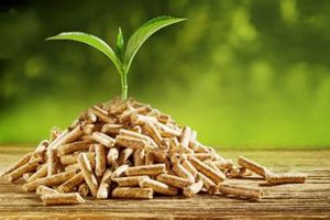 Are Wood Pellets Truly Renewable Energy? Renewable Energy Solutions for a Sustainable Future | Clean & Green Power Are Wood Pellets Truly Renewable Energy? | Renewable Energy Solutions for a Sustainable Future | Clean & Green Power