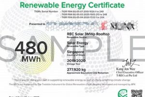 Renewable Energy Certificate (REC) Guide Renewable Energy Solutions for a Sustainable Future | Clean & Green Power Renewable Energy Certificate (REC) Guide | Renewable Energy Solutions for a Sustainable Future | Clean & Green Power