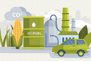 Top Renewable Energy Biofuel Innovations Renewable Energy Solutions for a Sustainable Future | Clean & Green Power Top Renewable Energy Biofuel Innovations | Renewable Energy Solutions for a Sustainable Future | Clean & Green Power