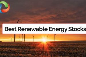 Top 2021 Renewable Energy Stocks: Powering a Green Future Renewable Energy Solutions for a Sustainable Future | Clean & Green Power Top 2021 Renewable Energy Stocks: Powering a Green Future | Renewable Energy Solutions for a Sustainable Future | Clean & Green Power