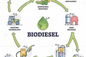 Biofuel Renewable Energy Renewable Energy Solutions for a Sustainable Future | Clean & Green Power Biofuel Renewable Energy | Renewable Energy Solutions for a Sustainable Future | Clean & Green Power