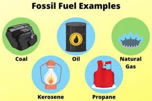 Top 5 Fossil Fuels Alternatives & Examples Renewable Energy Solutions for a Sustainable Future | Clean & Green Power Top 5 Fossil Fuels Alternatives & Examples | Renewable Energy Solutions for a Sustainable Future | Clean & Green Power