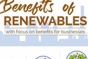 Top Advantage of Renewable Energy: A Clean Future Renewable Energy Solutions for a Sustainable Future | Clean & Green Power Top Advantage of Renewable Energy: A Clean Future | Renewable Energy Solutions for a Sustainable Future | Clean & Green Power