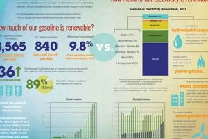 Why Gasoline: Is Gasoline a Renewable Resource? & Answers Renewable Energy Solutions for a Sustainable Future | Clean & Green Power Why Gasoline: Is Gasoline a Renewable Resource? & Answers | Renewable Energy Solutions for a Sustainable Future | Clean & Green Power