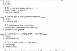 Top Renewable & Nonrenewable Energy FAQs Renewable Energy Solutions for a Sustainable Future | Clean & Green Power Top Renewable & Nonrenewable Energy FAQs | Renewable Energy Solutions for a Sustainable Future | Clean & Green Power