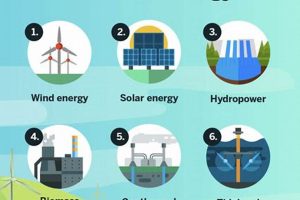 Best Renewable Energy Project Examples & Case Studies Renewable Energy Solutions for a Sustainable Future | Clean & Green Power Best Renewable Energy Project Examples & Case Studies | Renewable Energy Solutions for a Sustainable Future | Clean & Green Power