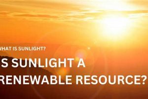 Understanding Why Sunlight is a Renewable Resource + Benefits Renewable Energy Solutions for a Sustainable Future | Clean & Green Power Understanding Why Sunlight is a Renewable Resource + Benefits | Renewable Energy Solutions for a Sustainable Future | Clean & Green Power