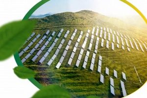 Dominica's Green Energy Future: Renewable Power Renewable Energy Solutions for a Sustainable Future | Clean & Green Power Dominica's Green Energy Future: Renewable Power | Renewable Energy Solutions for a Sustainable Future | Clean & Green Power