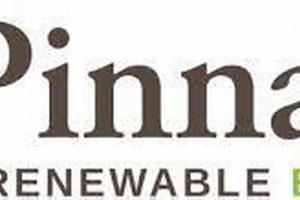 Top Pinnacle Renewable Energy Stock: Investing Guide Renewable Energy Solutions for a Sustainable Future | Clean & Green Power Top Pinnacle Renewable Energy Stock: Investing Guide | Renewable Energy Solutions for a Sustainable Future | Clean & Green Power