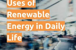How Can We Use Renewable Energy In Our Daily Life Renewable Energy Solutions for a Sustainable Future | Clean & Green Power How Can We Use Renewable Energy In Our Daily Life | Renewable Energy Solutions for a Sustainable Future | Clean & Green Power