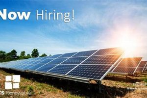 Top HCS Renewable Energy Jobs & Careers Renewable Energy Solutions for a Sustainable Future | Clean & Green Power Top HCS Renewable Energy Jobs & Careers | Renewable Energy Solutions for a Sustainable Future | Clean & Green Power