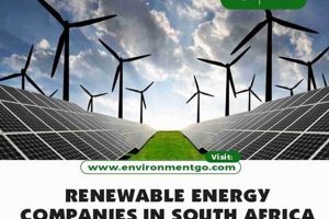 Top Renewable Energy Companies in South Africa (Guide) Renewable Energy Solutions for a Sustainable Future | Clean & Green Power Top Renewable Energy Companies in South Africa (Guide) | Renewable Energy Solutions for a Sustainable Future | Clean & Green Power