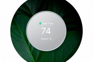 Upgrade Your Home with Google Nest Renew Renewable Energy Solutions for a Sustainable Future | Clean & Green Power Upgrade Your Home with Google Nest Renew | Renewable Energy Solutions for a Sustainable Future | Clean & Green Power