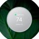 Upgrade Your Home with Google Nest Renew | Renewable Energy Solutions for a Sustainable Future | Clean & Green Power