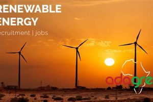 Top Renewable Energy Jobs in Africa Today Renewable Energy Solutions for a Sustainable Future | Clean & Green Power Top Renewable Energy Jobs in Africa Today | Renewable Energy Solutions for a Sustainable Future | Clean & Green Power