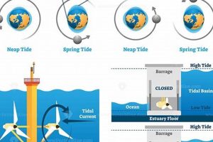 Is Tidal a Renewable Energy Source? Power &amp; Future | Renewable Energy Solutions for a Sustainable Future | Clean & Green Power