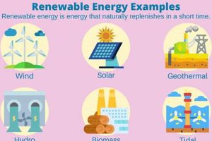 Top 5 Green Energy Examples & Benefits Renewable Energy Solutions for a Sustainable Future | Clean & Green Power Top 5 Green Energy Examples & Benefits | Renewable Energy Solutions for a Sustainable Future | Clean & Green Power