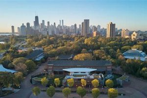 Top Chicago Renewable Energy Buildings: A Guide Renewable Energy Solutions for a Sustainable Future | Clean & Green Power Top Chicago Renewable Energy Buildings: A Guide | Renewable Energy Solutions for a Sustainable Future | Clean & Green Power
