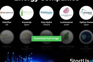 Top Renewable Energy Sector Companies in 2024 Renewable Energy Solutions for a Sustainable Future | Clean & Green Power Top Renewable Energy Sector Companies in 2024 | Renewable Energy Solutions for a Sustainable Future | Clean & Green Power