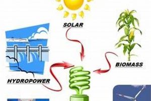Alternative To Fossil Fuels Renewable Energy Solutions for a Sustainable Future | Clean & Green Power Alternative To Fossil Fuels | Renewable Energy Solutions for a Sustainable Future | Clean & Green Power