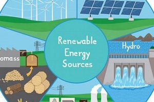 Best Renewable Objects for a Sustainable Future Renewable Energy Solutions for a Sustainable Future | Clean & Green Power Best Renewable Objects for a Sustainable Future | Renewable Energy Solutions for a Sustainable Future | Clean & Green Power