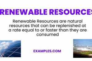 Go Green: Renewable Resources Guide + Future Renewable Energy Solutions for a Sustainable Future | Clean & Green Power Go Green: Renewable Resources Guide + Future | Renewable Energy Solutions for a Sustainable Future | Clean & Green Power