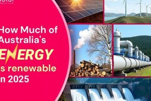 Global Renewable Energy: How Much Power Is Green? Renewable Energy Solutions for a Sustainable Future | Clean & Green Power Global Renewable Energy: How Much Power Is Green? | Renewable Energy Solutions for a Sustainable Future | Clean & Green Power