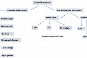 Guide to Renewable & Non Renewable Resources List (2024) Renewable Energy Solutions for a Sustainable Future | Clean & Green Power Guide to Renewable & Non Renewable Resources List (2024) | Renewable Energy Solutions for a Sustainable Future | Clean & Green Power