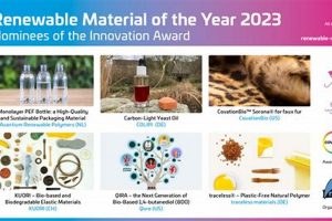 Top Renewable Materials for a Sustainable Future | Renewable Energy Solutions for a Sustainable Future | Clean & Green Power