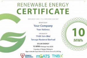 Best Certifications in Renewable Energy Careers Renewable Energy Solutions for a Sustainable Future | Clean & Green Power Best Certifications in Renewable Energy Careers | Renewable Energy Solutions for a Sustainable Future | Clean & Green Power