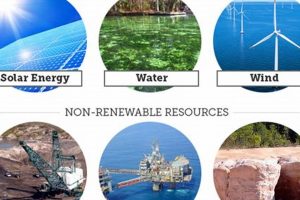 Harnessing Renewable Things for a Sustainable Future Renewable Energy Solutions for a Sustainable Future | Clean & Green Power Harnessing Renewable Things for a Sustainable Future | Renewable Energy Solutions for a Sustainable Future | Clean & Green Power