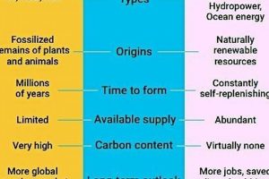 Efficiency Of Fossil Fuels Vs Renewable Energy Renewable Energy Solutions for a Sustainable Future | Clean & Green Power Efficiency Of Fossil Fuels Vs Renewable Energy | Renewable Energy Solutions for a Sustainable Future | Clean & Green Power