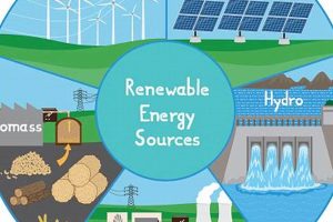 Top 7 Renewable Energy Sources: Powering a Green Future Renewable Energy Solutions for a Sustainable Future | Clean & Green Power Top 7 Renewable Energy Sources: Powering a Green Future | Renewable Energy Solutions for a Sustainable Future | Clean & Green Power