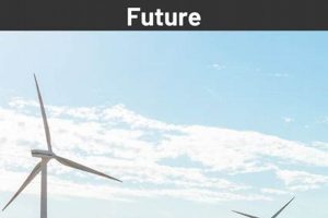 Best Top Renewable Energy Sources Guide [2024] | Renewable Energy Solutions for a Sustainable Future | Clean & Green Power