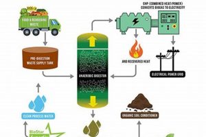 Harnessing Food Waste for Renewable Energy Renewable Energy Solutions for a Sustainable Future | Clean & Green Power Harnessing Food Waste for Renewable Energy | Renewable Energy Solutions for a Sustainable Future | Clean & Green Power