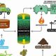 Harnessing Food Waste for Renewable Energy | Renewable Energy Solutions for a Sustainable Future | Clean & Green Power