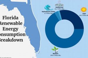 Florida Renewable Energy Percentage: A 2023 Update Renewable Energy Solutions for a Sustainable Future | Clean & Green Power Florida Renewable Energy Percentage: A 2023 Update | Renewable Energy Solutions for a Sustainable Future | Clean & Green Power