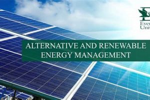 Best Renewable Energy Degree Online Programs Renewable Energy Solutions for a Sustainable Future | Clean & Green Power Best Renewable Energy Degree Online Programs | Renewable Energy Solutions for a Sustainable Future | Clean & Green Power