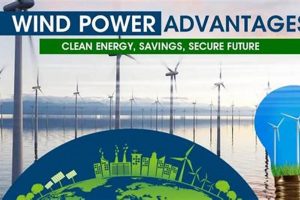 Top 5 Advantages of Clean Energy: A Guide Renewable Energy Solutions for a Sustainable Future | Clean & Green Power Top 5 Advantages of Clean Energy: A Guide | Renewable Energy Solutions for a Sustainable Future | Clean & Green Power