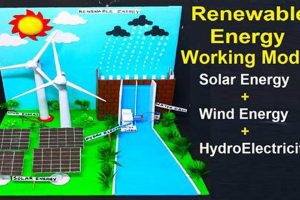 Careers in Renewable Energy: A Bright Future Renewable Energy Solutions for a Sustainable Future | Clean & Green Power Careers in Renewable Energy: A Bright Future | Renewable Energy Solutions for a Sustainable Future | Clean & Green Power