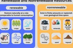 Basics: Which Are Renewable Resources? (Explained) Renewable Energy Solutions for a Sustainable Future | Clean & Green Power Basics: Which Are Renewable Resources? (Explained) | Renewable Energy Solutions for a Sustainable Future | Clean & Green Power