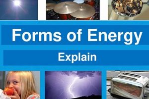 Understanding Energy Explained: A Guide Renewable Energy Solutions for a Sustainable Future | Clean & Green Power Understanding Energy Explained: A Guide | Renewable Energy Solutions for a Sustainable Future | Clean & Green Power