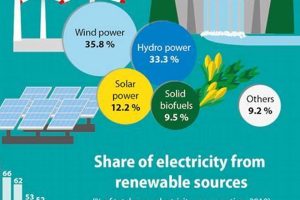 Is Renewable Energy Cheaper? A Cost Comparison Renewable Energy Solutions for a Sustainable Future | Clean & Green Power Is Renewable Energy Cheaper? A Cost Comparison | Renewable Energy Solutions for a Sustainable Future | Clean & Green Power