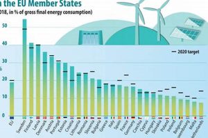 Global Renewable Energy: How Much Is Used? Renewable Energy Solutions for a Sustainable Future | Clean & Green Power Global Renewable Energy: How Much Is Used? | Renewable Energy Solutions for a Sustainable Future | Clean & Green Power
