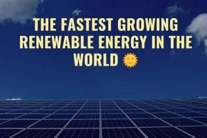 The Fastest Growing Renewable Energy Source [Updated!] | Renewable Energy Solutions for a Sustainable Future | Clean & Green Power