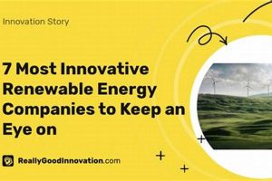 Top Innovative Renewable Energy Companies: Future Energy Renewable Energy Solutions for a Sustainable Future | Clean & Green Power Top Innovative Renewable Energy Companies: Future Energy | Renewable Energy Solutions for a Sustainable Future | Clean & Green Power