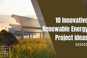 Top 5 Renewable Energy Project Examples & Case Studies Renewable Energy Solutions for a Sustainable Future | Clean & Green Power Top 5 Renewable Energy Project Examples & Case Studies | Renewable Energy Solutions for a Sustainable Future | Clean & Green Power