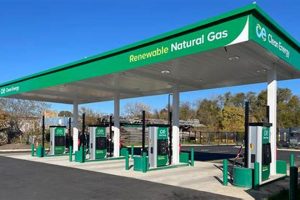 Best Renewable Energy Options in Baltimore, MD | Renewable Energy Solutions for a Sustainable Future | Clean & Green Power