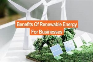 Top 5 Renewable Energy Business Ideas in 2024 | Renewable Energy Solutions for a Sustainable Future | Clean & Green Power