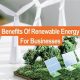 Top 5 Renewable Energy Business Ideas in 2024 | Renewable Energy Solutions for a Sustainable Future | Clean & Green Power